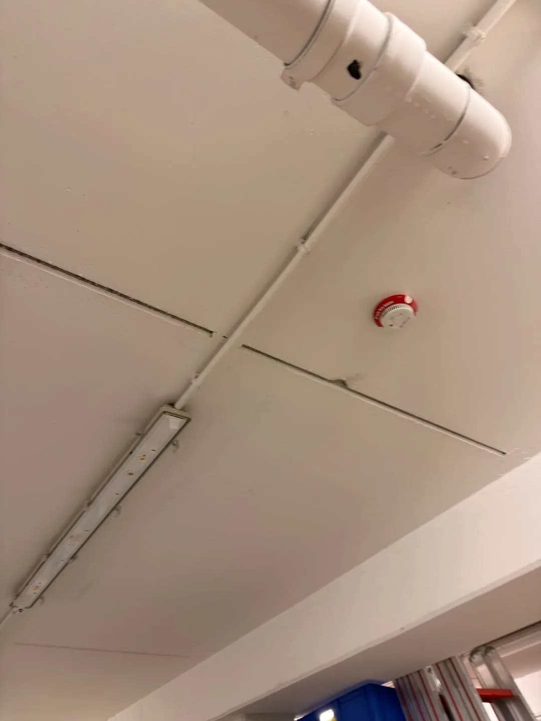 stadt-schwetzingen Bild 4